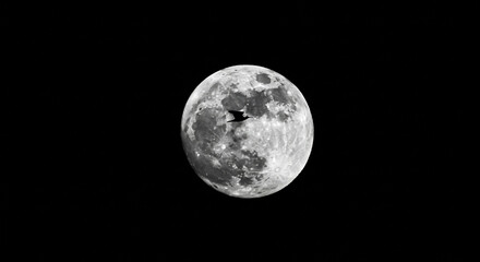 Obraz premium Moon closeup night sky space lunar surface astronomy