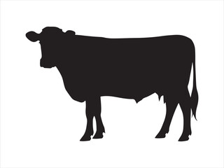 Silhouette cow livestock, farm logo. Cow graphic icon. Cow black silhouette vector isolated on white background. 