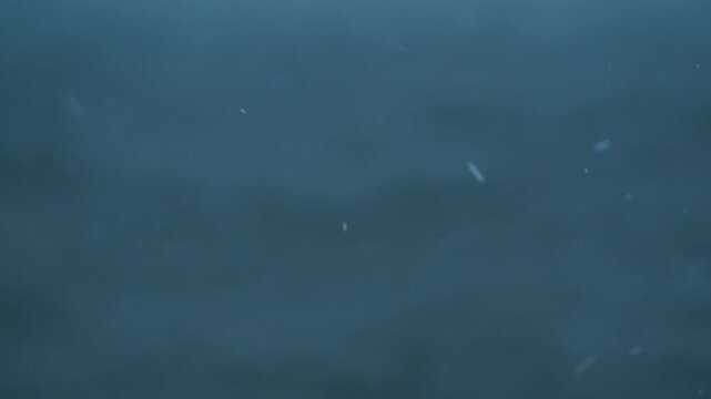 粉雪の振る荒れた海