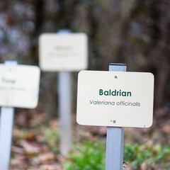 boards at a herb garden