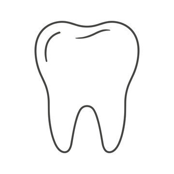 Illustration of a single tooth Vector