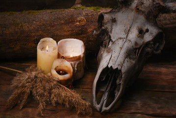 Obraz premium Witch table still life with animal skull and burning candles on wooden background.