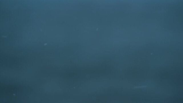 粉雪の振る荒れた海