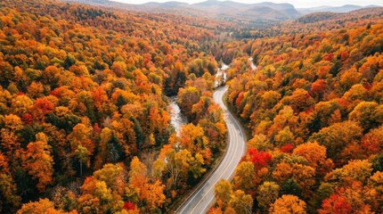 Aerial view of a road winding through a colorful autumn forest