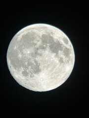 Obraz premium full moon