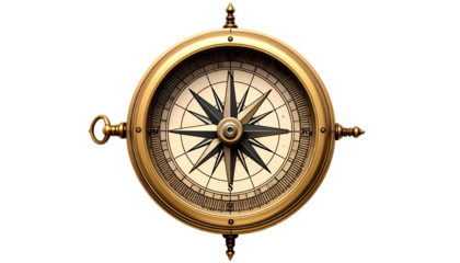 A close-up view of a detailed vintage brass compass. It has a black star-shaped design in the center with direction markers