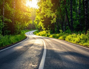 Winding forest road bathed in golden sunlight during a serene summer morning.