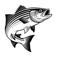Fototapeta premium Illustration of a black and white illustration of a striped bass fish isolated on transparent background with open mouth and fins