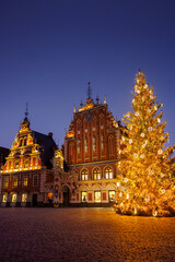 Christmas tree in front of the House of the Black Heads, Riga, Latvia