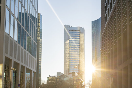 View of sunlight glints off the modern glass facades of towering skyscrapers, casting long shadows on the streets below, Frankfurt am Main, Hessen, Germany.