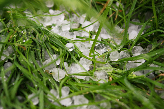 Hail on green green grass. Snow pellets on the ground. A violent, dangerous storm with hail.