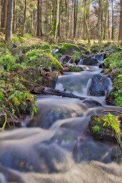 View of the stream cascading over moss-covered rocks, flowing through the forest in Vajskovska dolina, Nizke Tatry, Banskobystricky kraj, Slovakia.