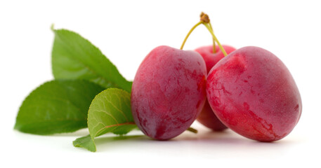 Fresh red plums with green leaves isolated on white