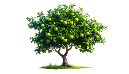 A lush, green apple tree laden with fruit on a dark background