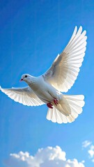 Fototapeta premium A magnificent white dove soars gracefully against a bright blue sky with scattered white clouds.