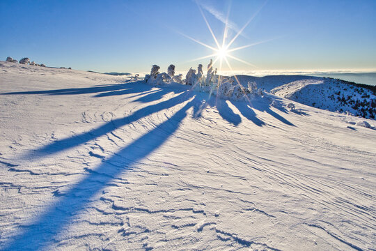 View of the sun casting long shadows over a snow-covered landscape, with icy trees standing against the clear blue sky, Nizke Tatry, Banska Bystrica Region, Slovakia.