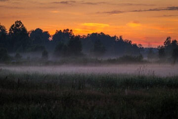 A beautiful rural landscape. A blazing sky. A blurred distant background. Mist over the meadow. Evening.