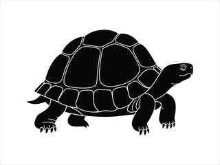 Striking black silhouette illustration of a slow-moving tortoise