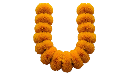 Orange marigold flowers arranged in a U shape isolated on a transparent background floral arrangement