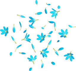 Blue Rain Lily Petals