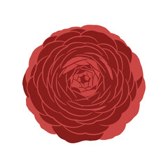 Vibrant Red Rose Flower Vector with Rich Petals for Elegant Floral Designs and Print Projects