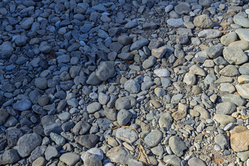 光と影が半分ずつの河原の石