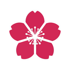 Vibrant Cherry Blossom Vector with Elegant Design for Seasonal Artwork and Celebrations