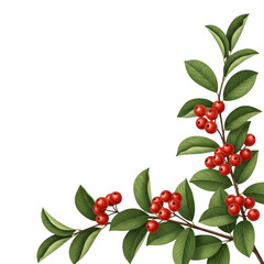 Obraz premium Christmas Holly Berry Branch Corner Decoration Isolated on White Background