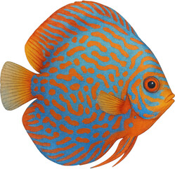 A vibrant, intricately patterned discus fish, a true underwater marvel. The fish showcases a stunning interplay of orange and blue hues and its disc-like shape is prominent