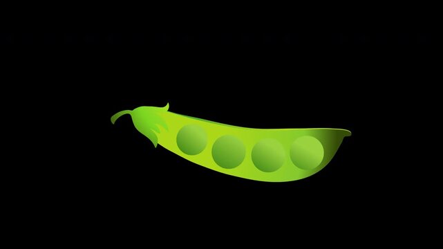 A green pea pod with circles icon concept loop animation video with alpha channel