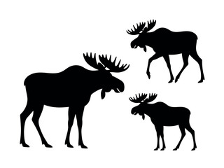 Black Silhouettes of Moose Animals