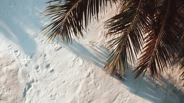 Tropical palm leaf casting long shadow on white sand. Serene aerial beach background perfect for peaceful summer vacation escape with warm, relaxing sunlight
