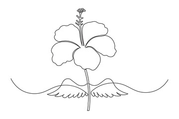  Minimalist hibiscus flower continuous line drawing simple style outline © farzana