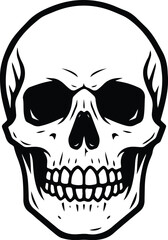 Fototapeta premium Detailed Skull Illustration with Intricate Line Work and Shading.