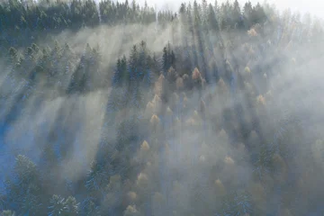 An aerial view of an autumnal or summer landscape with forests and meadows in the early morning. The mist is slowly lifting and the first rays of sunshine are breaking through.  A background concept © Michal