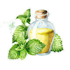 Sprig of medicinal plant Mint or Spearmint and bottle of essential oil. Watercolor hand drawn illustration isolated, on white background