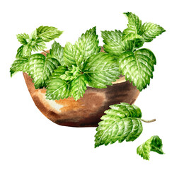 Bowl with fresh mint leaves, spearmint. Hand painted watercolor illustration isolated on white background