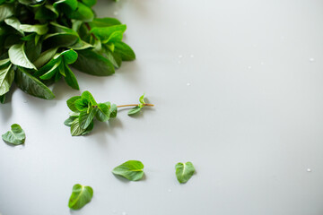 Bunch of fresh aromatic mint on gray textured background