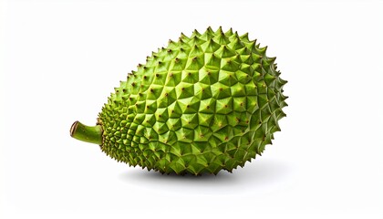 Green durian fruit on white surface. Ideal for food blogs, tropical fruit packaging, agriculture websites, and social media posts.