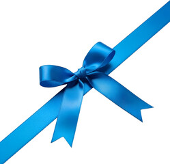 Gift Ribbon Illustration : 리본