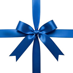 Gift Ribbon Illustration : 리본