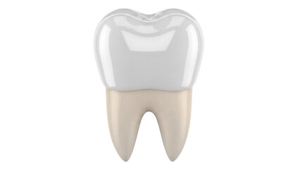 Realistic molar tooth isolated PNG on transparent background, dental care and oral hygiene concept for medical and educational use