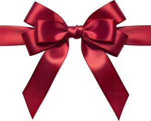 Gift Ribbon Illustration : 리본