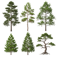 Collection of pine trees isolated on transparent background