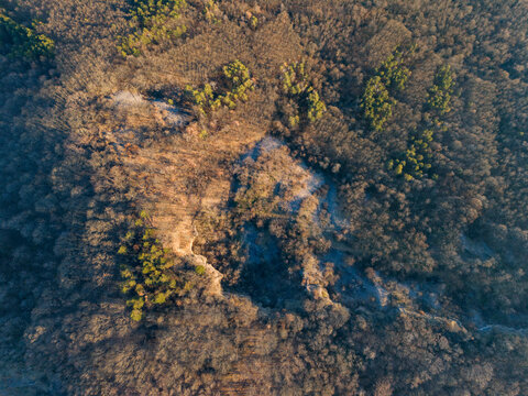Aerial view of a basalt quarry nestled within a forest's embrace, where the earth's raw textures meet the subtle gradients of nature's palette, Gemersky Jablonec, Banska Bystrica Region, Slovakia.