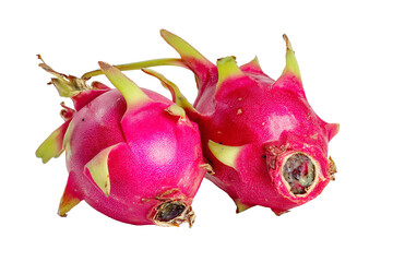 Two vibrant dragon fruits isolated on transparent background, close up view