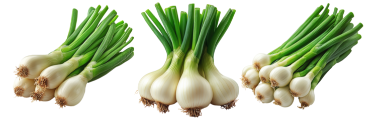 Fresh green onions with white bulbs, isolated on white transparent background, concept of healthy eating