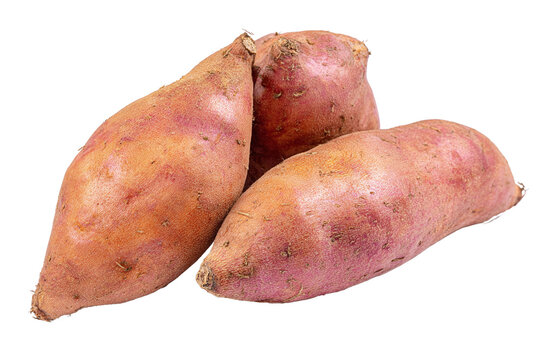 Three sweet potatoes isolated on transparent background, ready to be cooked