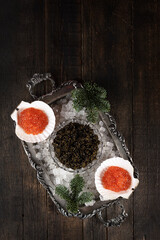Black and red caviar on a tray. A natural delicacy. Natural omega. A fir branch and ice on a tray. Smooth surface. View from above. Copy space.