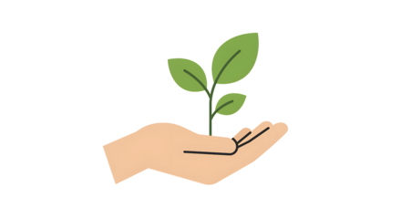 Hand holding sprout plant with green leaves symbolizing growth and nature